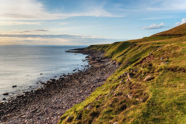 Les secrets du mixologue : Astuces pour sublimer vos cocktails sans équipement sophistiqué