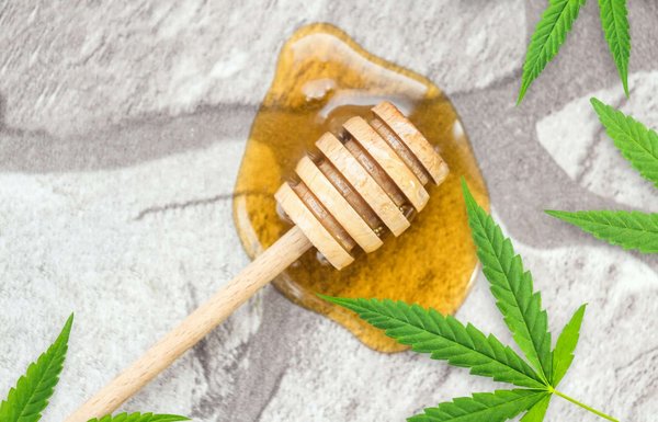 Le miel à la plante de chanvre : Des bienfaits pour la santé