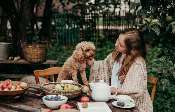 Quels sont les éléments clés d'un service de thé l'après-midi dans un salon de thé britannique?